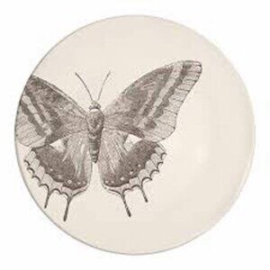 Set of 4 Paula Scaletta Botanical Butterfly Dessert Plates